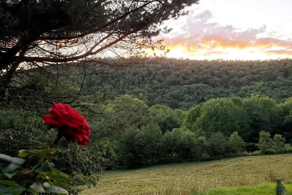 Breathtaking Views. Hot Tub. Huge Deck. Fast Wifi Villa Andes Exterior foto